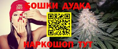 ПСИЛОЦИБИНОВЫЕ ГРИБЫ Кандалакша