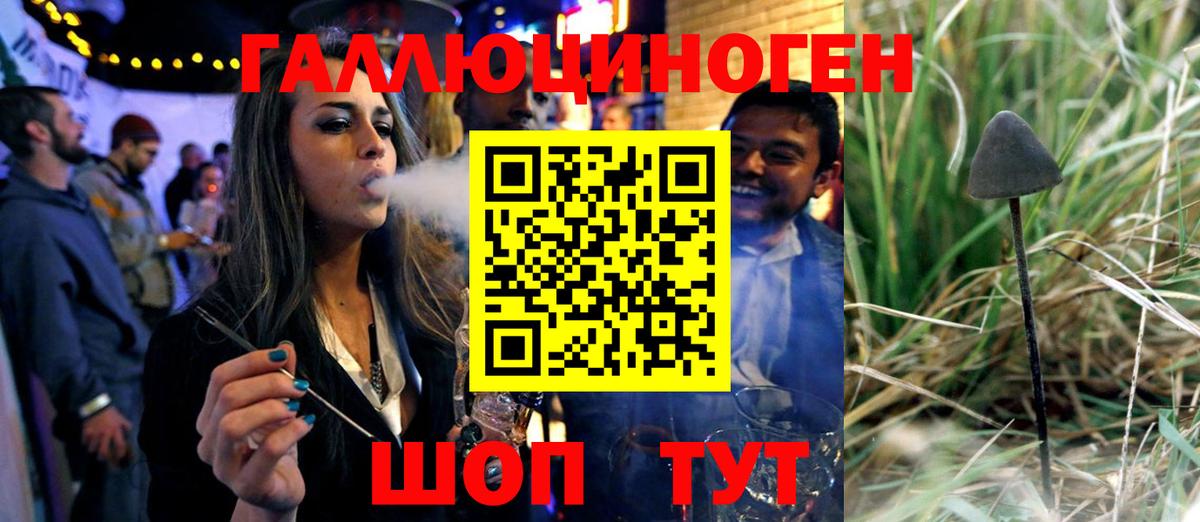 Псилоцибиновые грибы GOLDEN TEACHER Черняховск